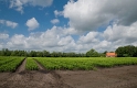 Wolken Winterswijk D35_8270 als Smart-Objekt-1 Kopie